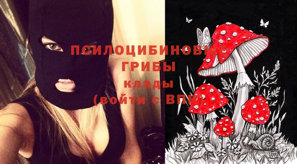 меф Козельск