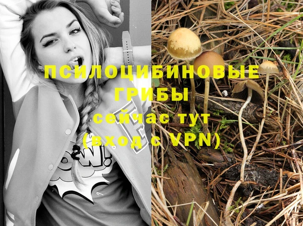 дживик Козловка