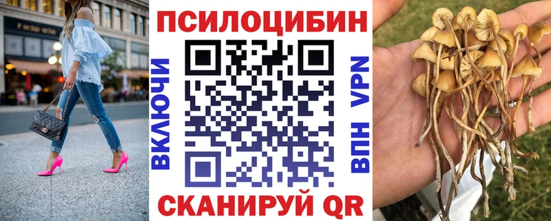 Псилоцибиновые грибы Magic Shrooms  omg ТОР  Сокол 